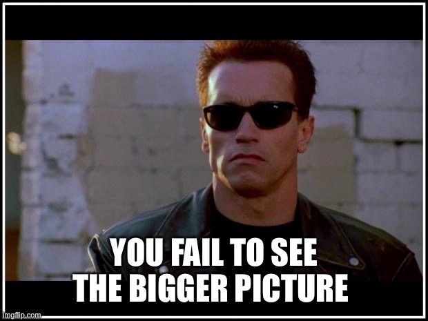 arnold schwarzenegger terminator | YOU FAIL TO SEE THE BIGGER PICTURE | image tagged in arnold schwarzenegger terminator | made w/ Imgflip meme maker