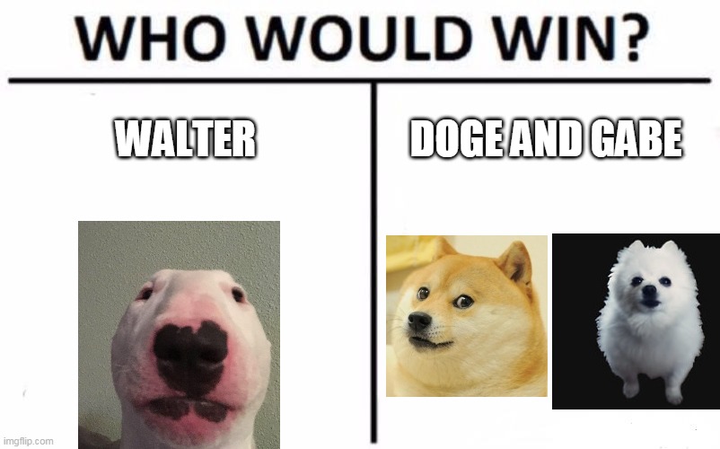 Who Would Win The Dog Memes | WALTER; DOGE AND GABE | image tagged in memes,who would win | made w/ Imgflip meme maker