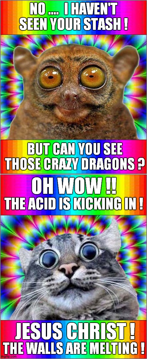 Drugs - Just Say No ! | NO ....  I HAVEN'T SEEN YOUR STASH ! BUT CAN YOU SEE THOSE CRAZY DRAGONS ? OH WOW !! THE ACID IS KICKING IN ! JESUS CHRIST ! THE WALLS ARE MELTING ! | image tagged in psychedelic,trippy,funny meme | made w/ Imgflip meme maker