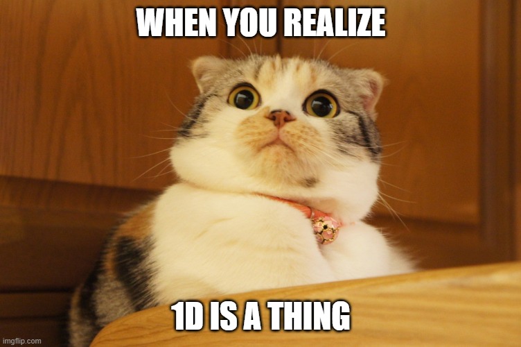 WHEN YOU REALIZE; 1D IS A THING | image tagged in cat,suprised cat,1d,wow,1 dimension | made w/ Imgflip meme maker