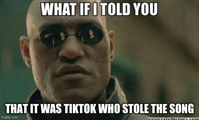 What If I Told You.... | THAT IT WAS TIKTOK WHO STOLE THE SONG | image tagged in what if i told you | made w/ Imgflip meme maker