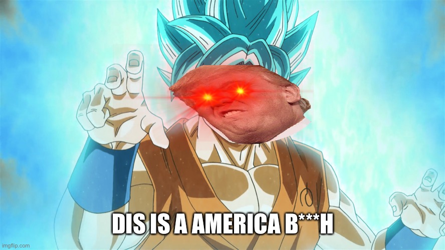 Dis is America! | DIS IS A AMERICA B***H | image tagged in donald trump,trump,america,yes,memes,dbz | made w/ Imgflip meme maker