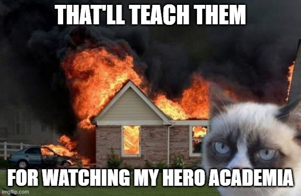 Burn Kitty Meme | THAT'LL TEACH THEM; FOR WATCHING MY HERO ACADEMIA | image tagged in memes,burn kitty,grumpy cat | made w/ Imgflip meme maker