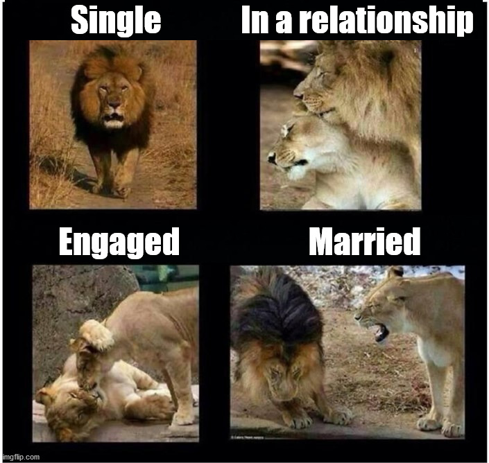 Profile pictures for your relationship status. | Single             In a relationship; Engaged                     Married | image tagged in relationships,profile picture | made w/ Imgflip meme maker