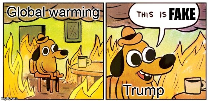 This Is Fine | FAKE; Global warming; Trump | image tagged in memes,this is fine | made w/ Imgflip meme maker