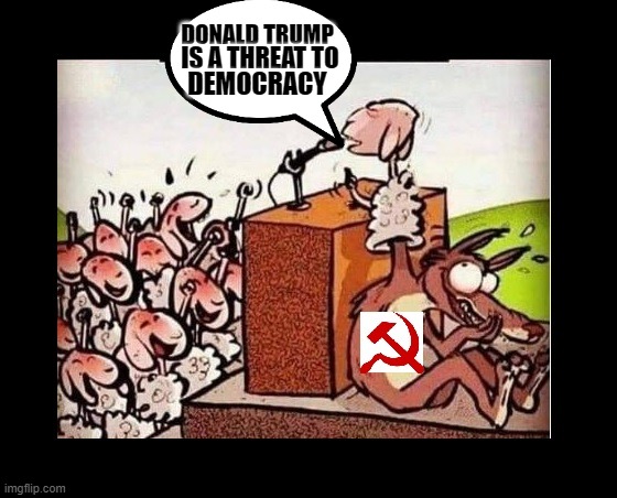 The fools....Anti Christ and anti God no thank you. | DONALD TRUMP; IS A THREAT TO; DEMOCRACY | image tagged in sheeple | made w/ Imgflip meme maker