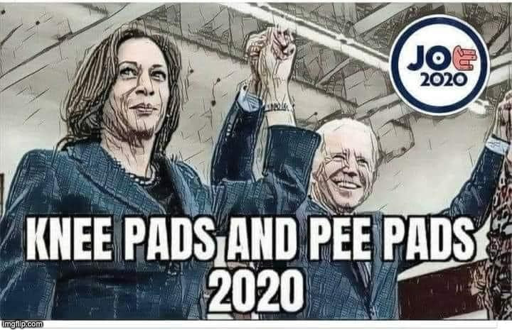 Joe/Hoe Knee Pads and Pee Pads | image tagged in joe hoe,meme,funny,biden,harris | made w/ Imgflip meme maker