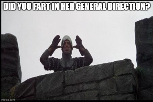 French Taunting in Monty Python's Holy Grail | DID YOU FART IN HER GENERAL DIRECTION? | image tagged in french taunting in monty python's holy grail | made w/ Imgflip meme maker