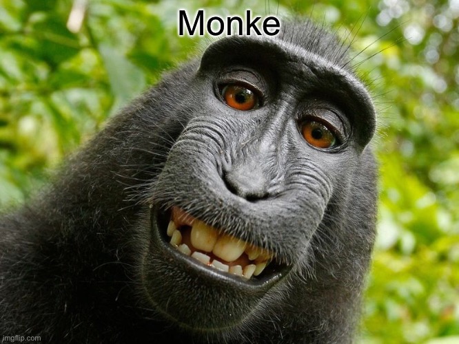 MONKE | Monke | image tagged in funny,monkey,random | made w/ Imgflip meme maker