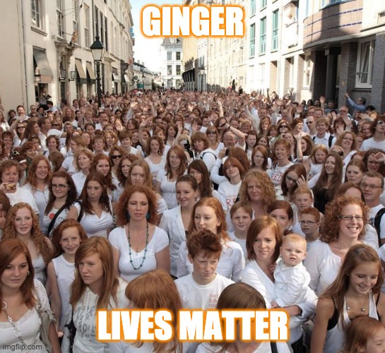 ginger lives matter |  GINGER; LIVES MATTER | image tagged in red-hair convention | made w/ Imgflip meme maker