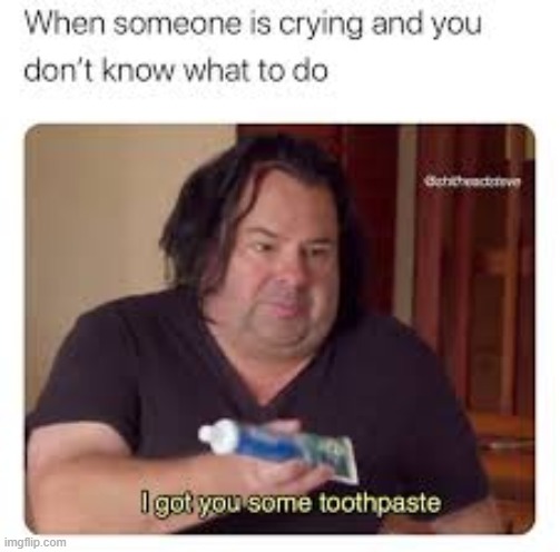 image tagged in funny | made w/ Imgflip meme maker