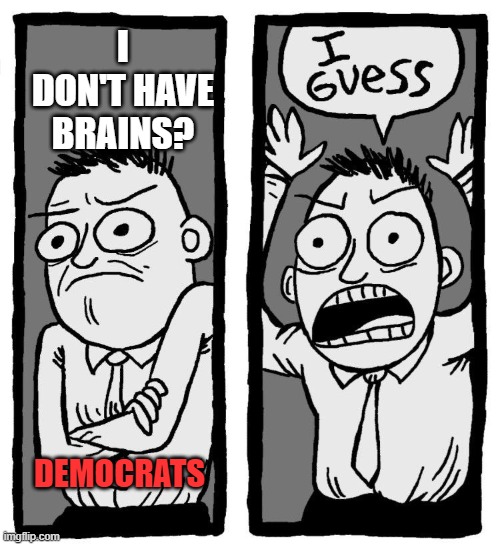 I DON'T HAVE BRAINS? DEMOCRATS | image tagged in i guess | made w/ Imgflip meme maker