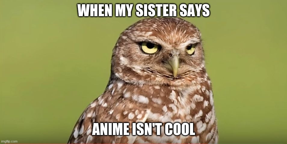 Also Dynamax Venasaur is dope af | WHEN MY SISTER SAYS; ANIME ISN'T COOL | image tagged in death stare owl | made w/ Imgflip meme maker