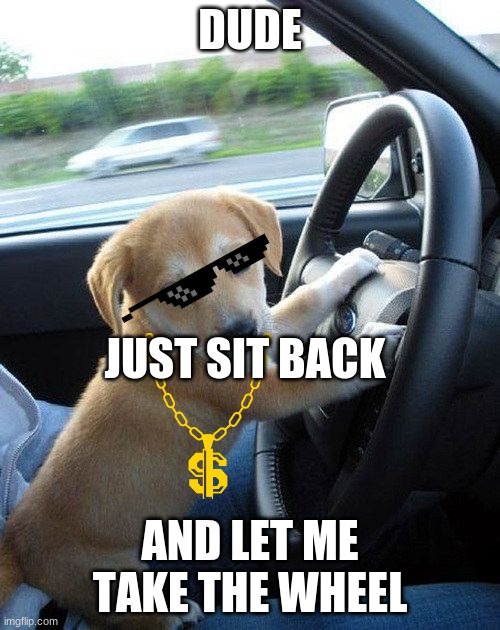 doggy driver | DUDE; JUST SIT BACK; AND LET ME TAKE THE WHEEL | image tagged in cute dog | made w/ Imgflip meme maker