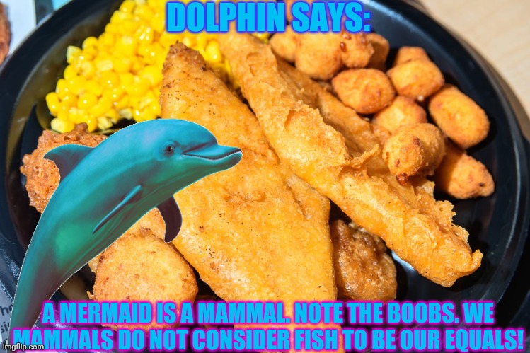 DOLPHIN SAYS: A MERMAID IS A MAMMAL. NOTE THE BOOBS. WE MAMMALS DO NOT CONSIDER FISH TO BE OUR EQUALS! | made w/ Imgflip meme maker