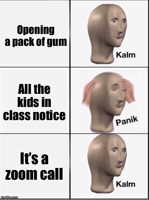 When u open a pack of gum | Opening a pack of gum; All the kids in class notice; It’s a zoom call | image tagged in reverse kalm panik,zoom,gum,panik kalm panik,funny,memes | made w/ Imgflip meme maker
