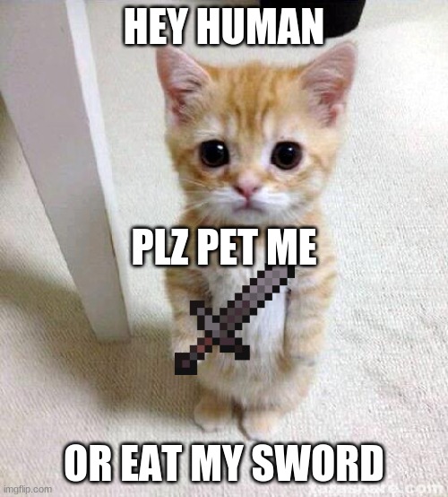 ohhh u better get away or pet it | HEY HUMAN; PLZ PET ME; OR EAT MY SWORD | image tagged in memes,cute cat | made w/ Imgflip meme maker
