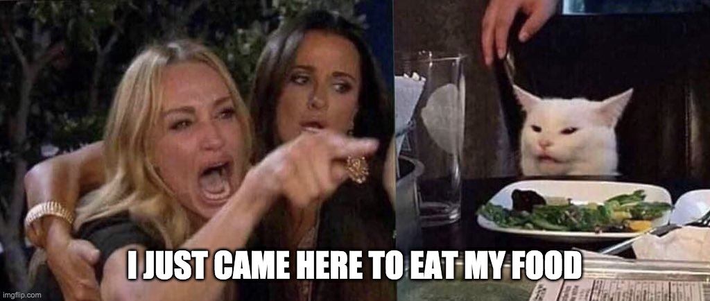 woman yelling at cat | I JUST CAME HERE TO EAT MY FOOD | image tagged in woman yelling at cat | made w/ Imgflip meme maker