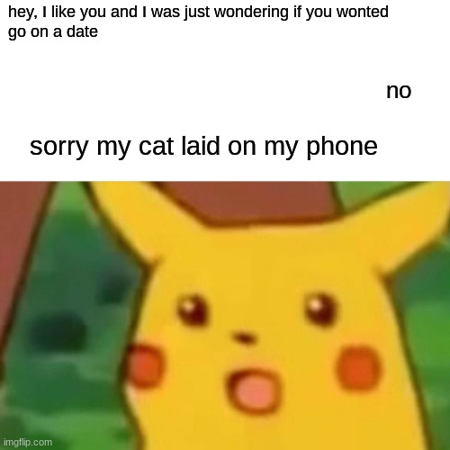 Surprised Pikachu Meme | hey, I like you and I was just wondering if you wonted 
go on a date; no; sorry my cat laid on my phone | image tagged in memes,surprised pikachu | made w/ Imgflip meme maker