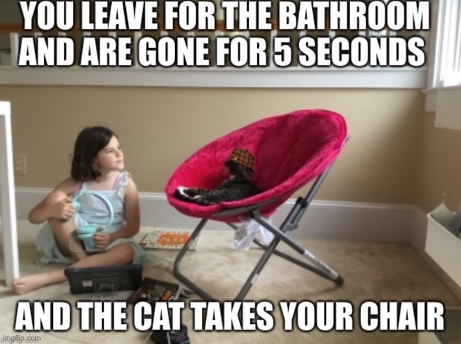 Happens every time | image tagged in cats,funny | made w/ Imgflip meme maker