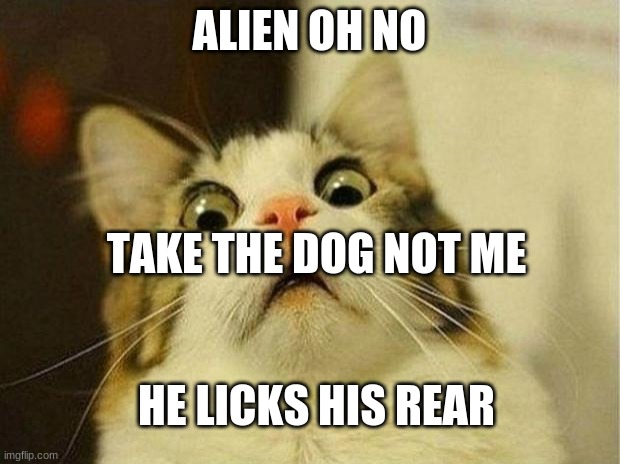 u better rrun | ALIEN OH NO; TAKE THE DOG NOT ME; HE LICKS HIS REAR | image tagged in memes,scared cat | made w/ Imgflip meme maker