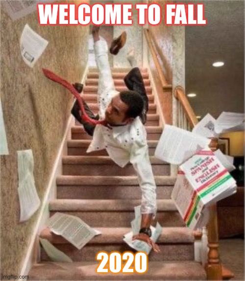 Welcome to Fall 2020 | WELCOME TO FALL; 2020 | image tagged in fall | made w/ Imgflip meme maker