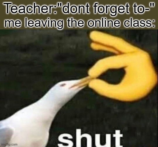 Online classes(ugh) | Teacher:"dont forget to-"; me leaving the online class: | image tagged in shut,online school | made w/ Imgflip meme maker