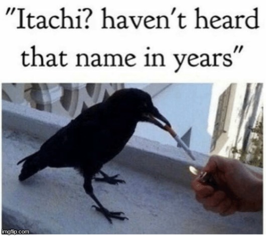 image tagged in memes,itachi,crow,bad stuff | made w/ Imgflip meme maker