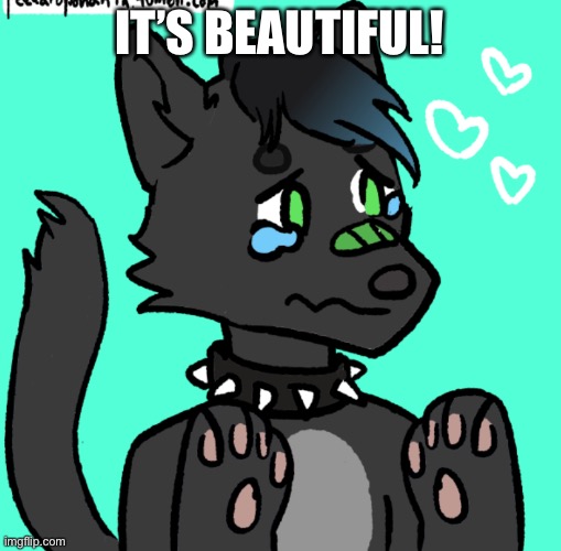 Eric: it’s beautiful! | IT’S BEAUTIFUL! | image tagged in eric it s beautiful | made w/ Imgflip meme maker