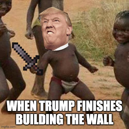 Third World Success Kid Meme | WHEN TRUMP FINISHES BUILDING THE WALL | image tagged in memes,third world success kid | made w/ Imgflip meme maker