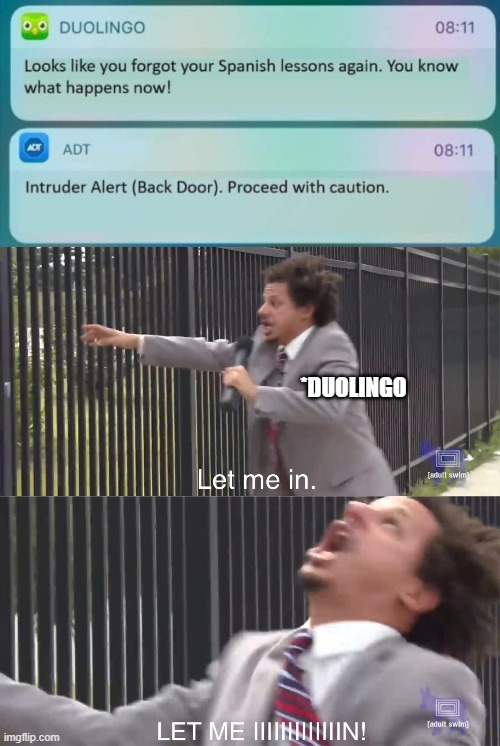 *DUOLINGO | image tagged in let me in,memes | made w/ Imgflip meme maker