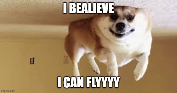Helium dog |  I BEALIEVE; I CAN FLYYYY | image tagged in helium dog | made w/ Imgflip meme maker