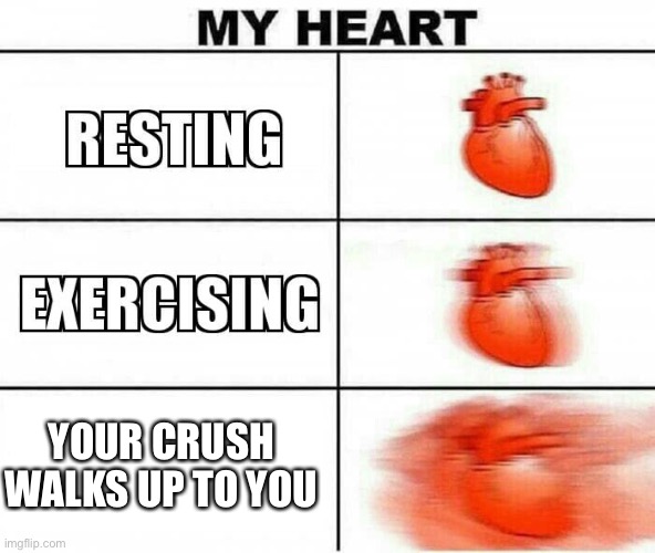 MY HEART |  YOUR CRUSH WALKS UP TO YOU | image tagged in my heart | made w/ Imgflip meme maker