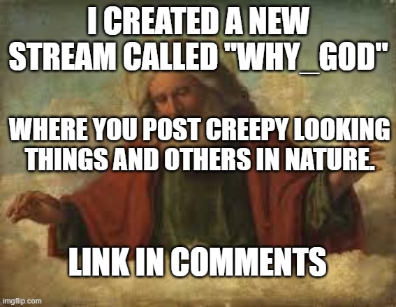 god | I CREATED A NEW STREAM CALLED "WHY_GOD"; WHERE YOU POST CREEPY LOOKING THINGS AND OTHERS IN NATURE. LINK IN COMMENTS | image tagged in god | made w/ Imgflip meme maker