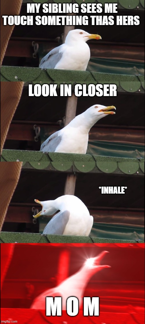 Inhaling Seagull Meme | MY SIBLING SEES ME TOUCH SOMETHING THAS HERS; LOOK IN CLOSER; *INHALE*; M O M | image tagged in memes,inhaling seagull | made w/ Imgflip meme maker