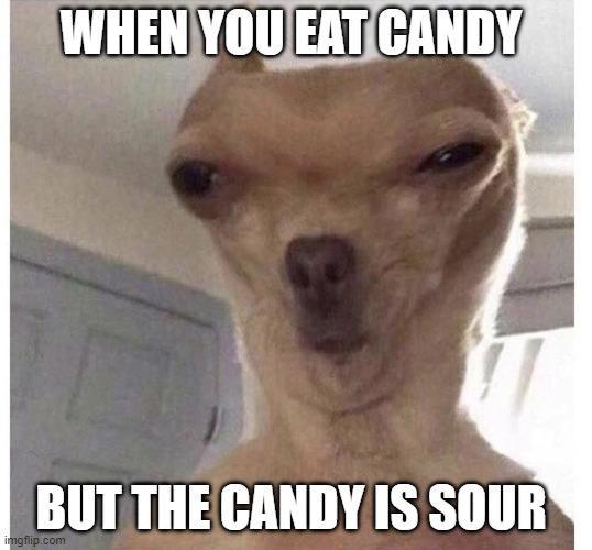 All of our faces.... | WHEN YOU EAT CANDY; BUT THE CANDY IS SOUR | image tagged in funny | made w/ Imgflip meme maker