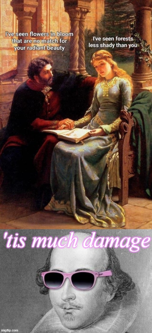 shakespeare approves this dialogue | 'tis much damage | image tagged in shakespeare,relationships,rejection,rejected,now that's a lot of damage,oof | made w/ Imgflip meme maker