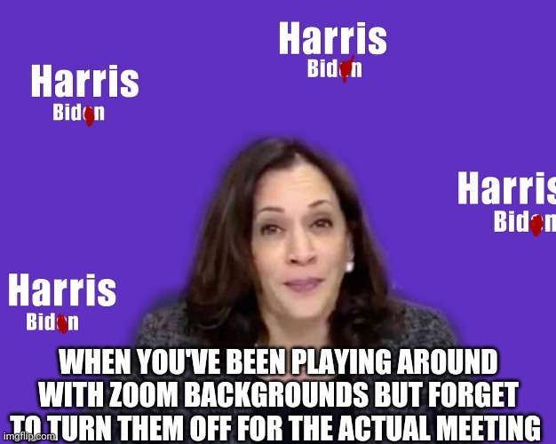 eh, close enough | WHEN YOU'VE BEEN PLAYING AROUND WITH ZOOM BACKGROUNDS BUT FORGET TO TURN THEM OFF FOR THE ACTUAL MEETING | image tagged in joe biden,kamala harris,2020 elections,democrats | made w/ Imgflip meme maker
