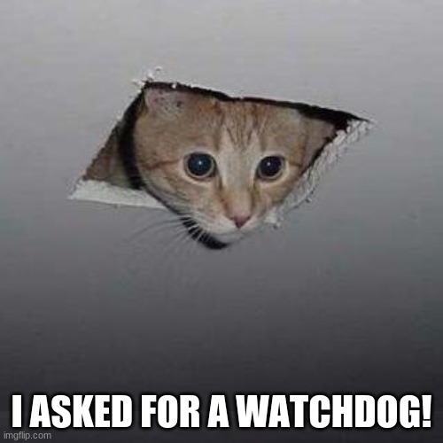 ppl these days am i right? | I ASKED FOR A WATCHDOG! | image tagged in memes,ceiling cat | made w/ Imgflip meme maker