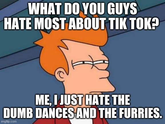 what do you guys hate about it? | WHAT DO YOU GUYS HATE MOST ABOUT TIK TOK? ME, I JUST HATE THE DUMB DANCES AND THE FURRIES. | image tagged in memes,futurama fry | made w/ Imgflip meme maker