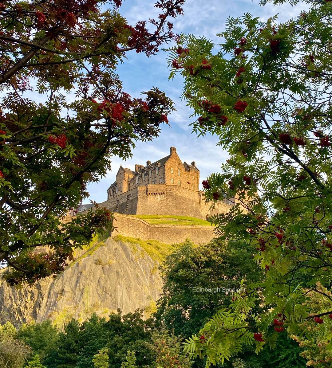 Majestic castle Blank Meme Template