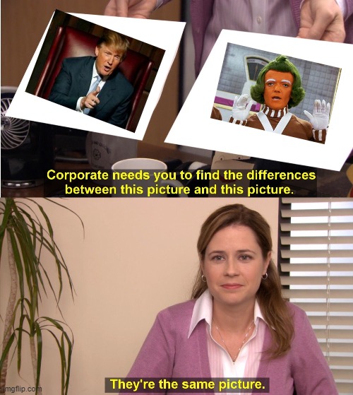 I can't tell who's who | image tagged in memes,they're the same picture,trump,oompa loompa | made w/ Imgflip meme maker