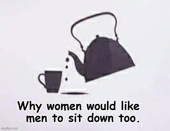 Women sit, men stand ! | Why women would like  
men to sit down too. | image tagged in peeing | made w/ Imgflip meme maker