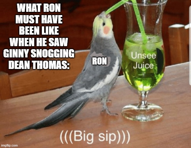 Read the 6th Harry Potter book to know what I'm talking about...lol | WHAT RON MUST HAVE BEEN LIKE WHEN HE SAW GINNY SNOGGING DEAN THOMAS:; RON | image tagged in unsee juice,harry potter | made w/ Imgflip meme maker