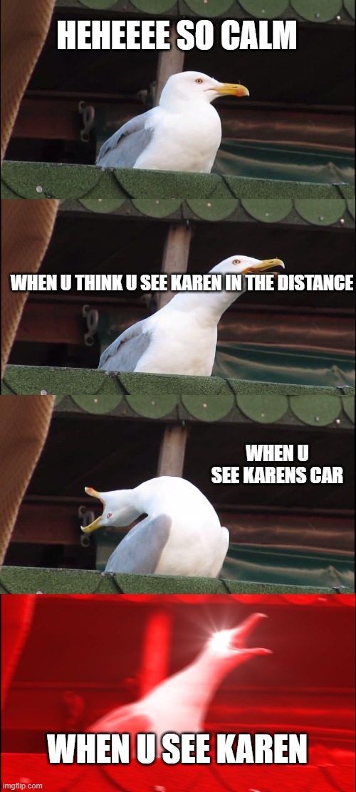 straight facts people | HEHEEEE SO CALM; WHEN U THINK U SEE KAREN IN THE DISTANCE; WHEN U SEE KARENS CAR; WHEN U SEE KAREN | image tagged in memes,inhaling seagull | made w/ Imgflip meme maker