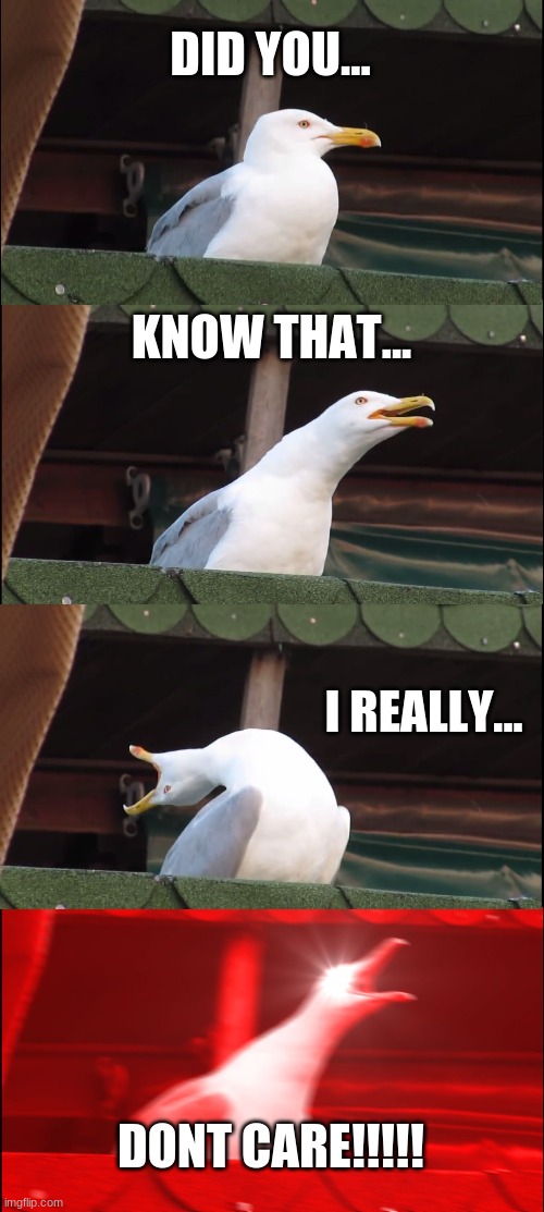 Dont care | DID YOU... KNOW THAT... I REALLY... DONT CARE!!!!! | image tagged in memes,inhaling seagull | made w/ Imgflip meme maker