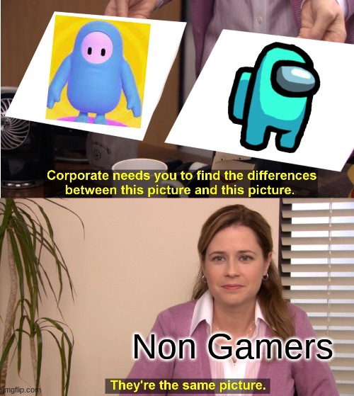 They're The Same Picture | Non Gamers | image tagged in memes,they're the same picture,among us,fall guys | made w/ Imgflip meme maker