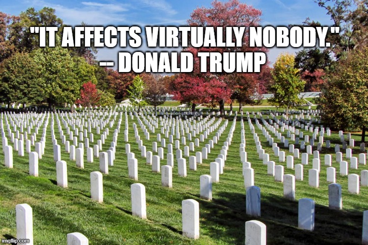 "IT AFFECTS VIRTUALLY NOBODY."
-- DONALD TRUMP | image tagged in trump,coronavirus | made w/ Imgflip meme maker