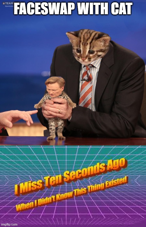 I miss 10 seconds ago | FACESWAP WITH CAT | image tagged in i miss ten seconds ago | made w/ Imgflip meme maker