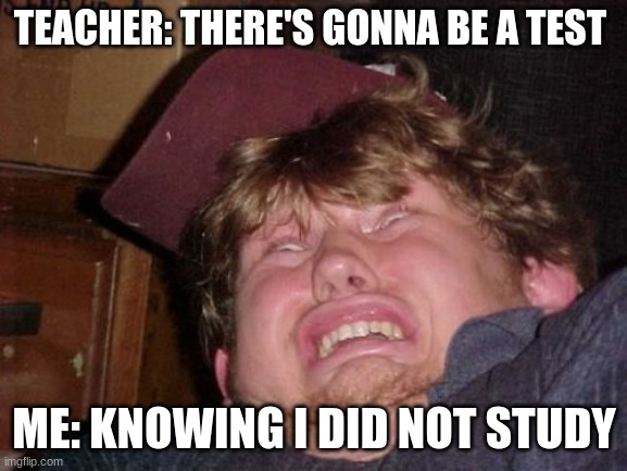 WTF Meme | TEACHER: THERE'S GONNA BE A TEST; ME: KNOWING I DID NOT STUDY | image tagged in memes,wtf | made w/ Imgflip meme maker